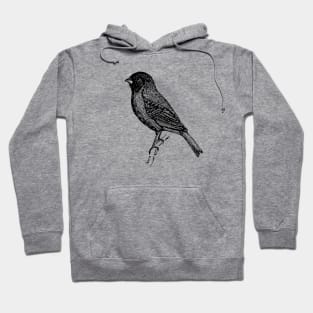 Bird Hoodie